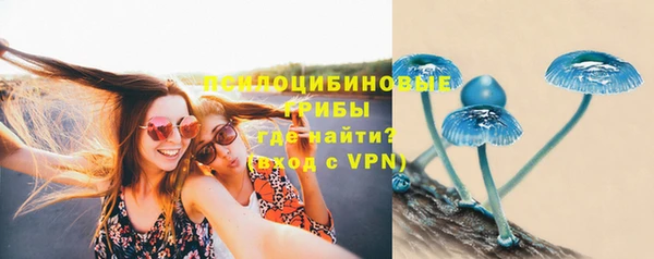 эйфоретик Дмитров