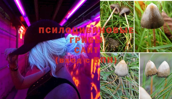 кокаин колумбия Дмитровск