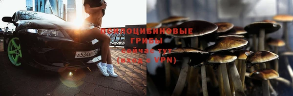 apvp Дмитриев