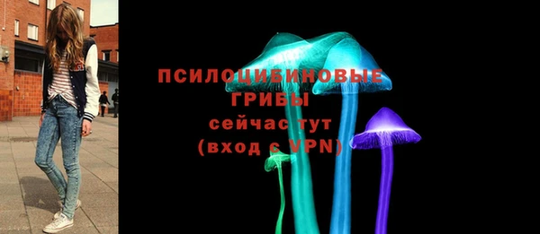 apvp Дмитриев
