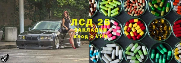 apvp Дмитриев